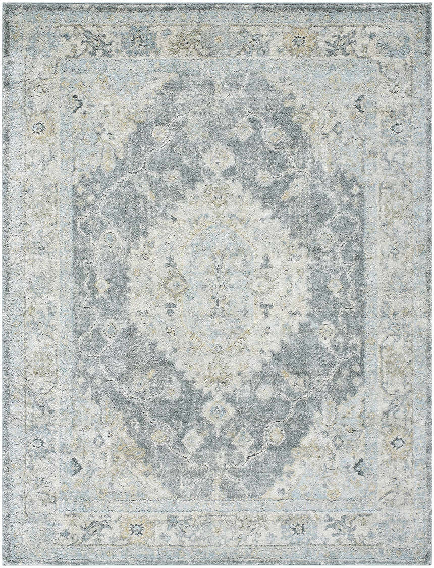 Close-up of the Tyche Tan Thick Luxe Area Rug. Beige, gray, and pale blue traditional rug with a central medallion pattern. Design-Rectangle-537