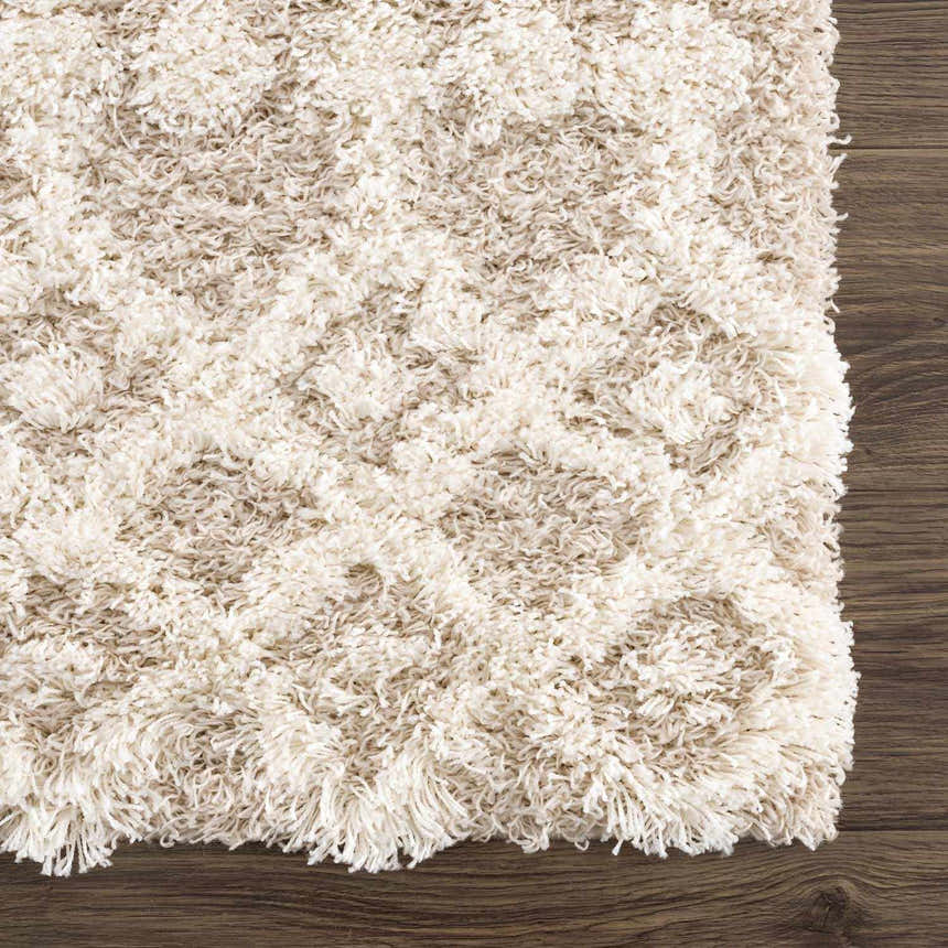 Sample Prompton Cream Plush Area Rug