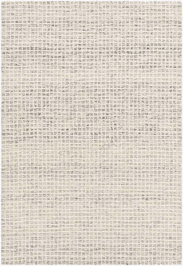 Close-up of the Andreas Handmade Vivir x LIVABLISS VVAN-2300 Area Rug. Ivory rug with a slate gray grid pattern. Design-Rectangle-576