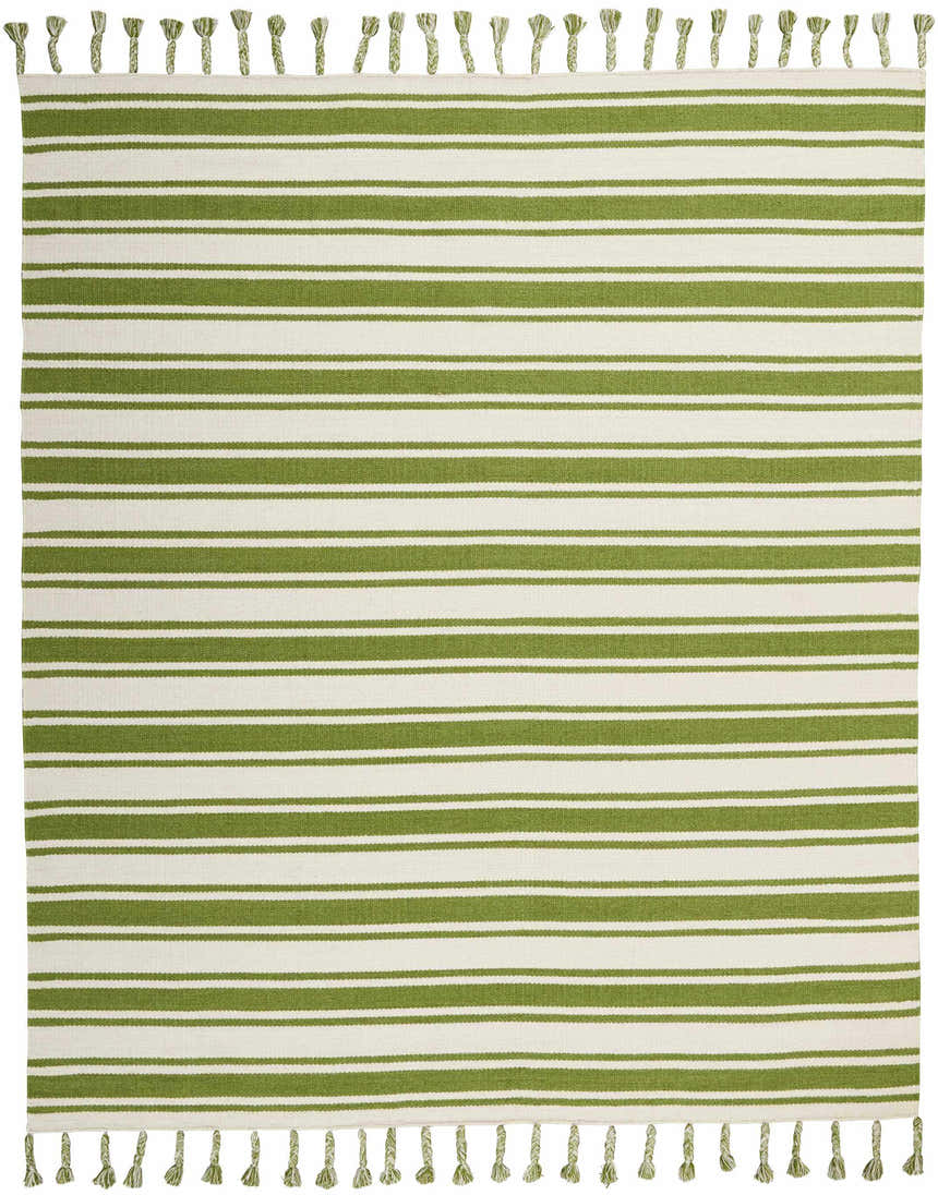 Close-up of Nourison Rio Vista Ivory/Green rug. Bohemian style with green stripes and knotted tassels. Handmade wool texture.