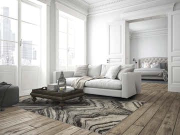 Bright living room with white sofa, wood floors, and Feizy Katari Gray/Ivory rug. Bedroom visible through doorway. Roomscene-Rectangle