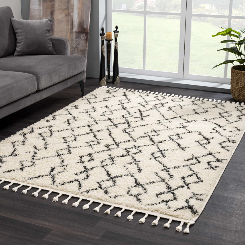 Pahala Moroccan Shag Area Rug - Clearance