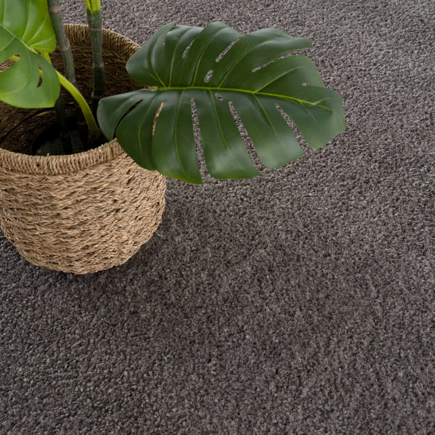Close-up of the Judy Solid Dark Gray Washable Shag Rug showing its texture and color next to a potted Monstera plant. Styleshot