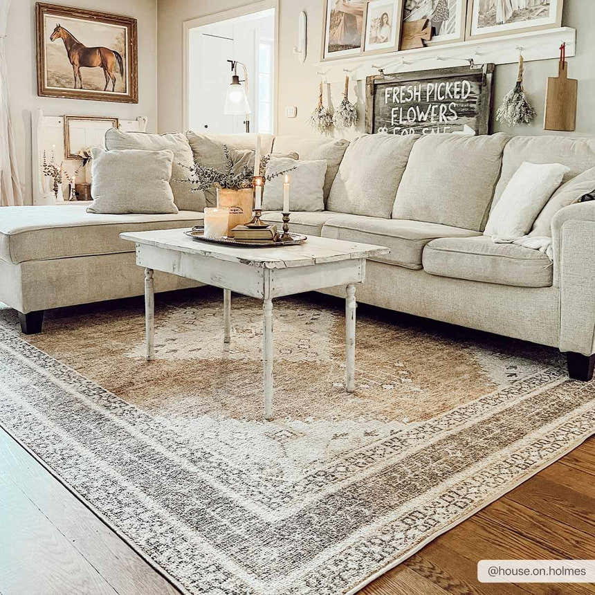 Living room scene with neutral sofa and Albas Washable Area Rug in dark brown, light blue, and light brown. Farmhouse style. Roomscene-Rectangle