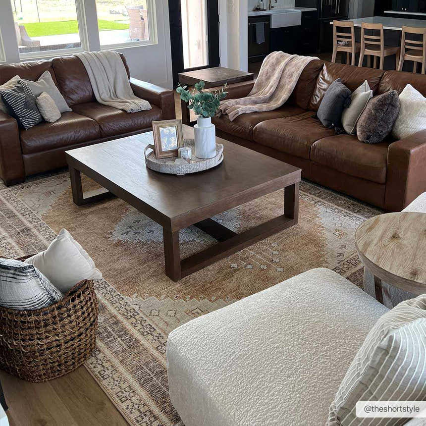 Living room scene with brown leather sofas and the Albas Washable Area Rug in dark brown, light blue, and light brown. Roomscene-Rectangle