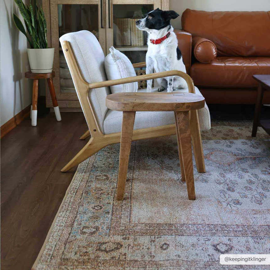 Living room scene with a dog on a chair over the Analu Non-Slip Washable Rug in brown, red, and blue tones. Roomscene-Rectangle