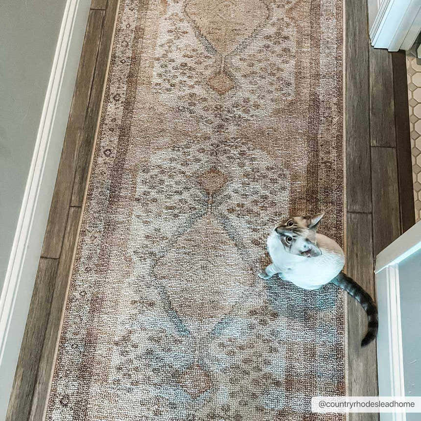 Analu Non-Slip Washable Rug in a hallway with wood floors. A curious cat sits on the brown, tan, and cream oriental rug. Roomscene-Runner