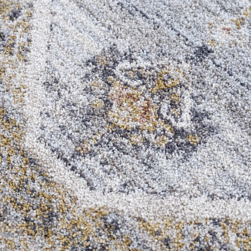 Close-up of the Lapis Area Rug, showing light gray, natural gray, and gold tones in a traditional, machine-woven pattern. Texture