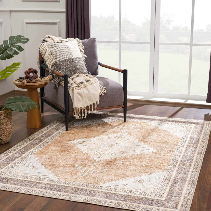 Living room scene with Albas Washable Area Rug in light brown, blue, and dark brown. Farmhouse style with chair and natural light. Roomscene-Rectangle