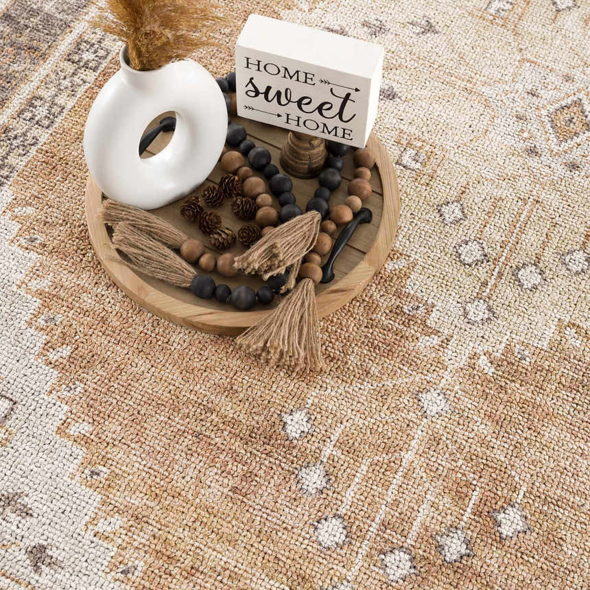 Close-up of the Albas Washable Area Rug in light brown. Traditional vintage style with a subtle geometric pattern. Soft texture. Styleshot