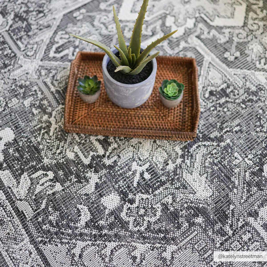 Close-up of the Cohen Nutmeg Area Rug showing a traditional gray and beige pattern with a tray and succulent plants. Roomscene-Rectangle
