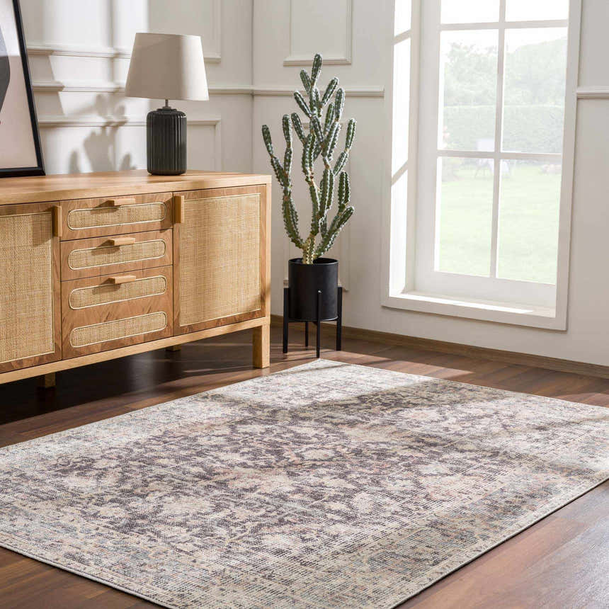 Living room scene with a vintage Nyota Area Rug, wood cabinet, lamp, and cactus near a window. Roomscene-Rectangle