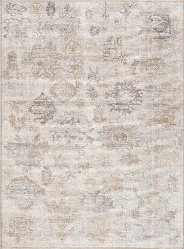Close-up of the Melor Area Rug. Traditional vintage style with neutral beige, gold, and gray floral pattern. Machine woven texture. Design-Rectangle-537