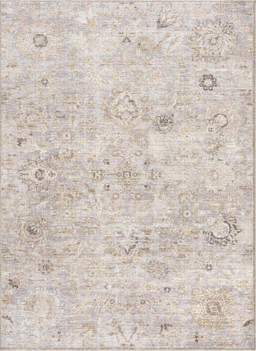 Close-up of the Ogima Area Rug. Traditional vintage style with gray, gold, and brown floral patterns. Design-Rectangle-537