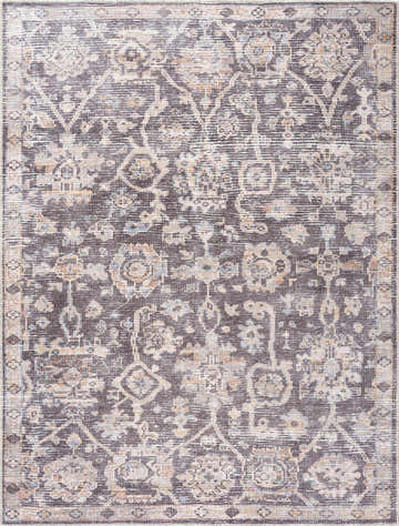 Detailed close-up of the Okoth Area Rug. Features a traditional, distressed pattern in shades of brown, beige, and blue. Design-Rectangle-537