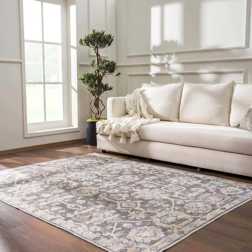 Living room scene with a neutral sofa and the traditional Okoth Area Rug in gray, beige, and brown tones. Roomscene-Rectangle