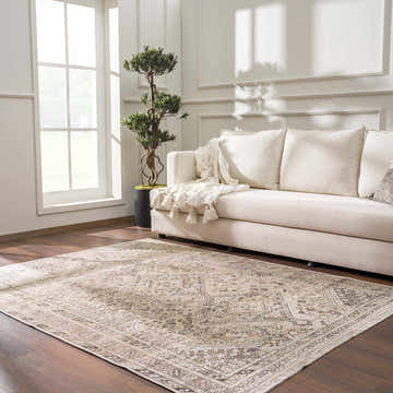Living room scene with a beige couch and the Nadie Beige Medallion Area Rug on a wood floor. Farmhouse style. Roomscene-Rectangle