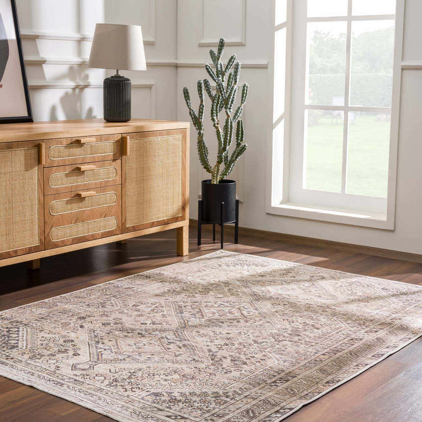 Living room scene with a Nadie Beige Medallion Area Rug, wood floors, a console table, and a cactus near a bright window. Roomscene-Rectangle