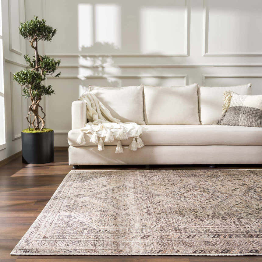 Living room scene with a beige sofa, potted tree, and Nadie Beige Medallion Area Rug on a dark wood floor. Roomscene-Rectangle