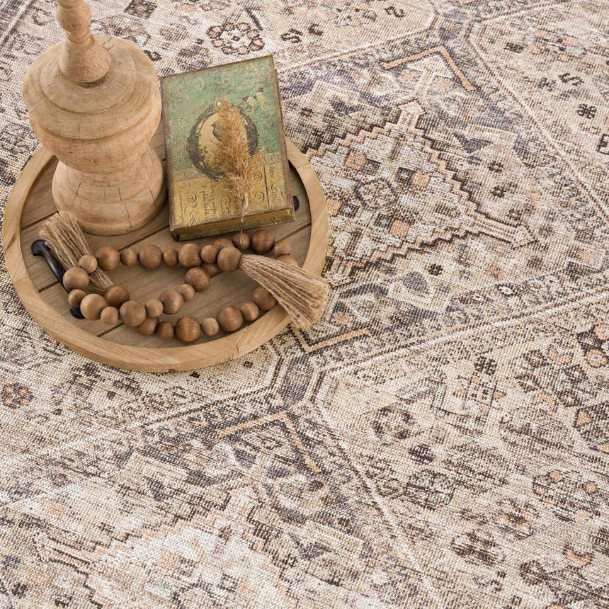 Close-up of the Nadie Beige Medallion Area Rug showing its traditional pattern and neutral beige, brown, and tan colors. Styleshot