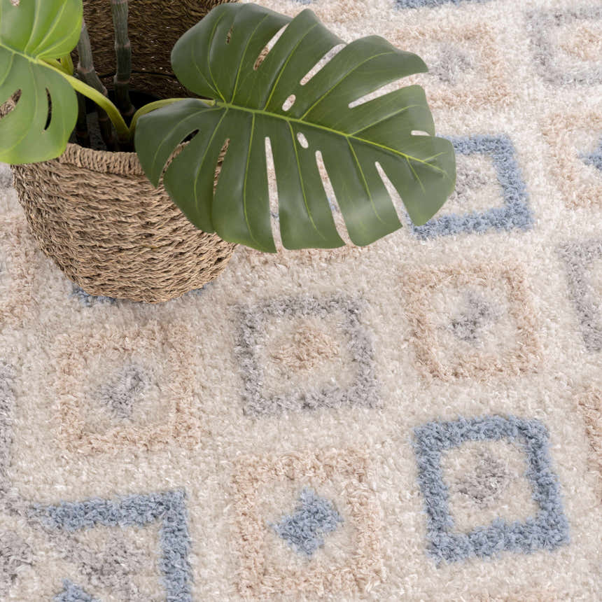 Close-up of the Eivin Pink & Blue Area Rug, a shag rug with light blue and gray geometric patterns. Plant in a basket on the rug. Styleshot