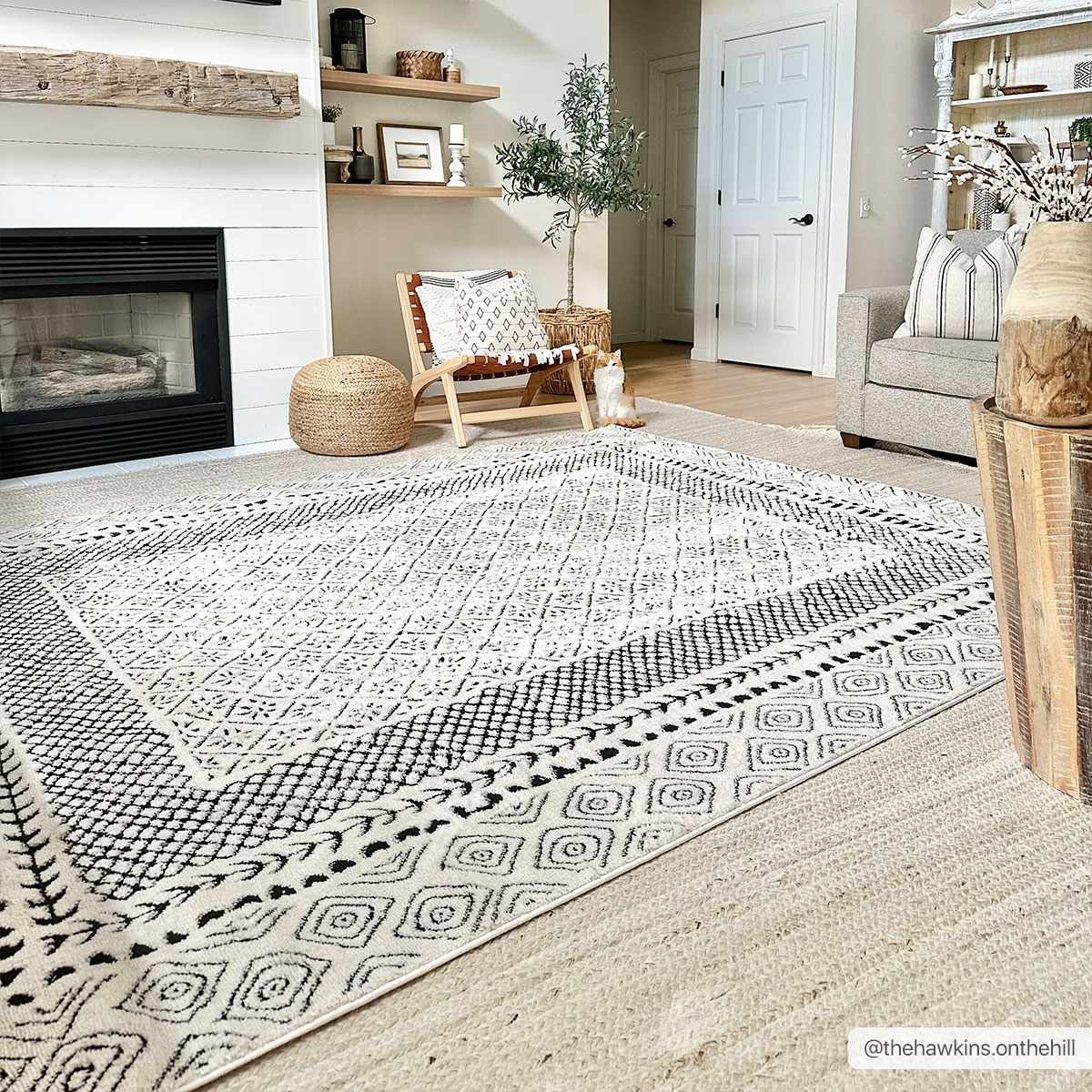 Julio Area Rug - Clearance