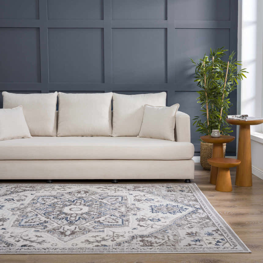 Living room scene with a Bakir Area Rug in blue and gray, cream sofa, and dark blue accent wall. Roomscene-Rectangle