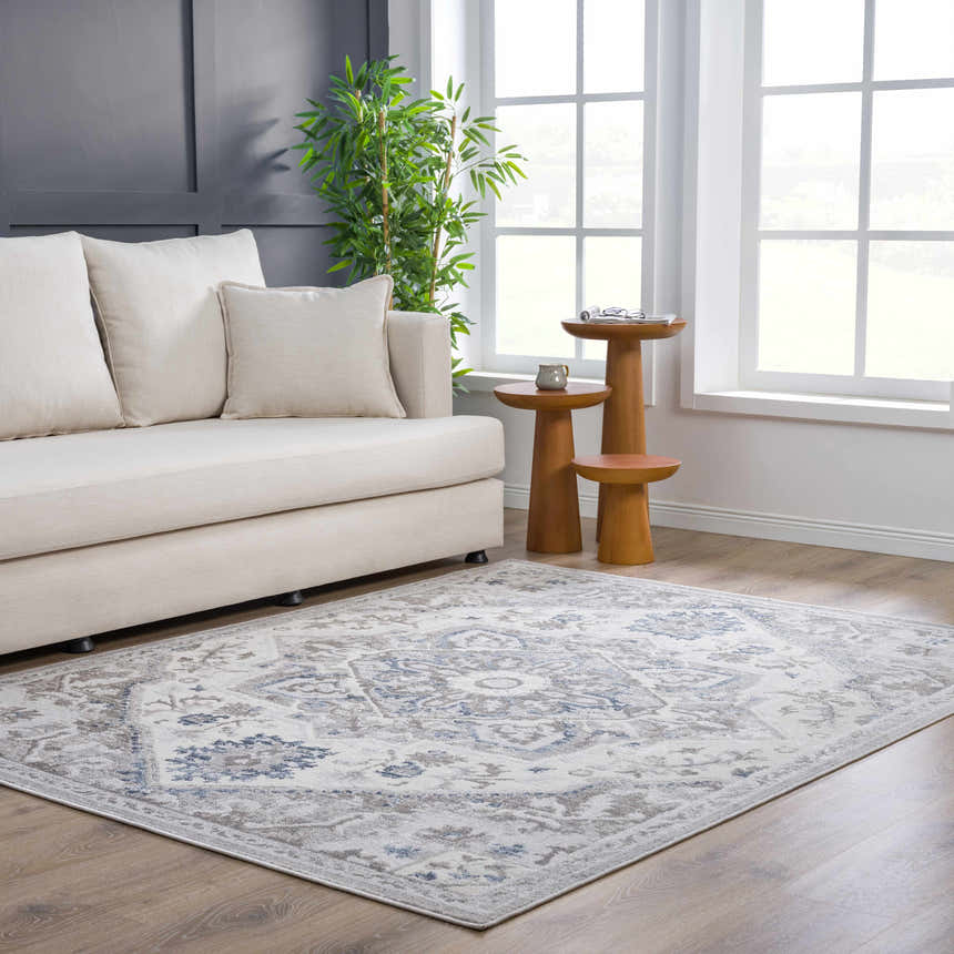 Living room scene with a Bakir Area Rug in blue and gray, complementing the neutral sofa and light wood floors. Roomscene-Rectangle