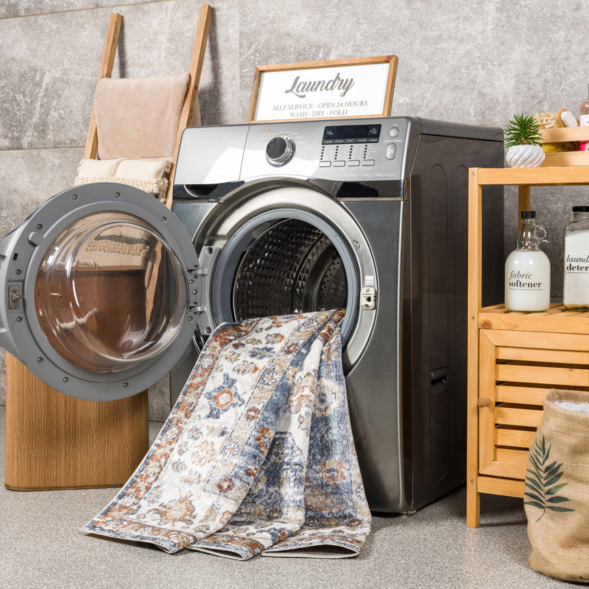 Ebbe Washable Area Rug - Clearance