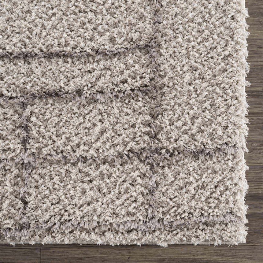 Close-up of the plush Andia Gray Area Rug showing its silver tones, shag texture, and geometric pattern. Swatch