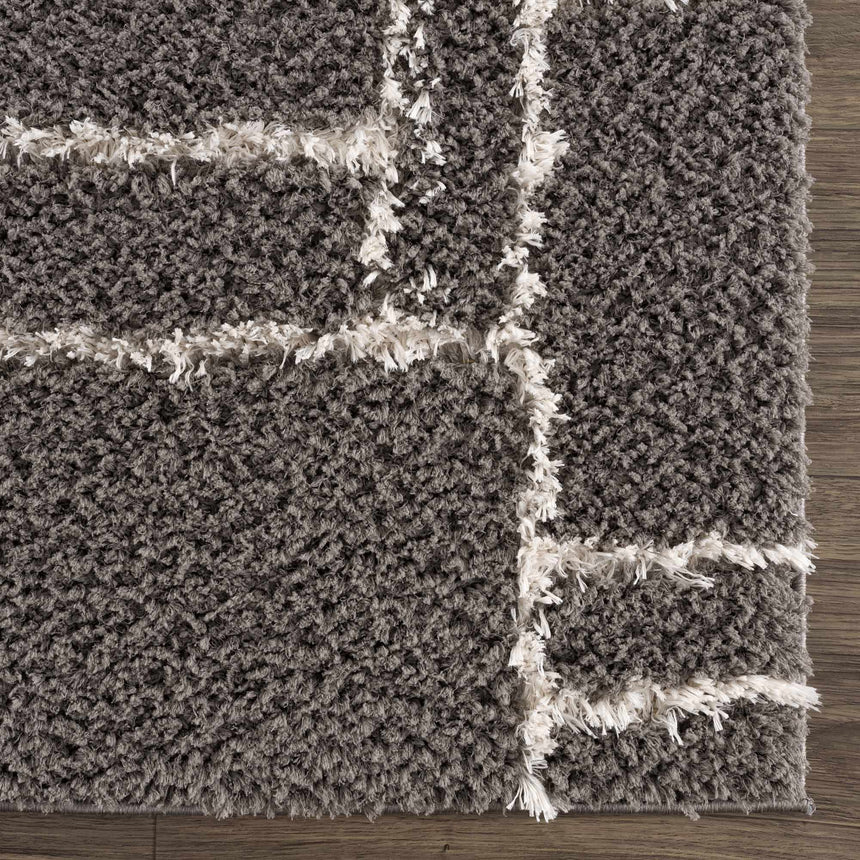 Andia Charcoal Area Rug - Clearance