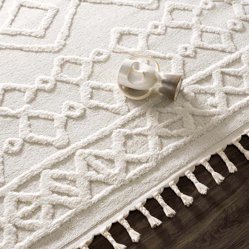 Close up of the Gyundyukoru Area Rug. Bone-colored rug with geometric design and braided tassels. Styleshot