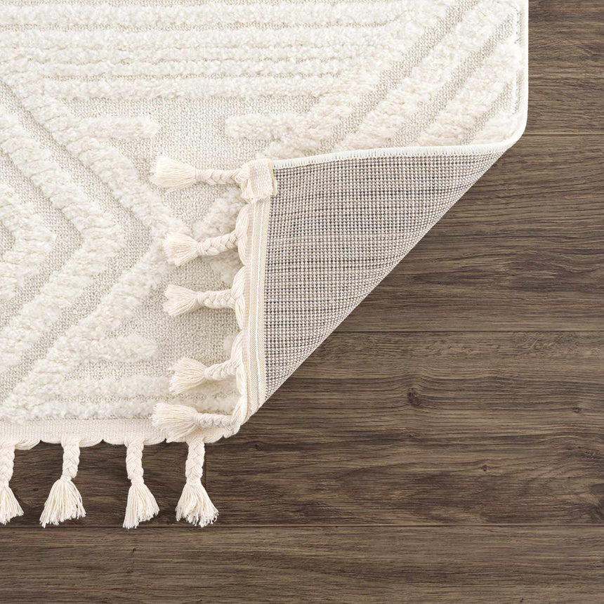 Manyas 3D Bone Area Rug with Tassels