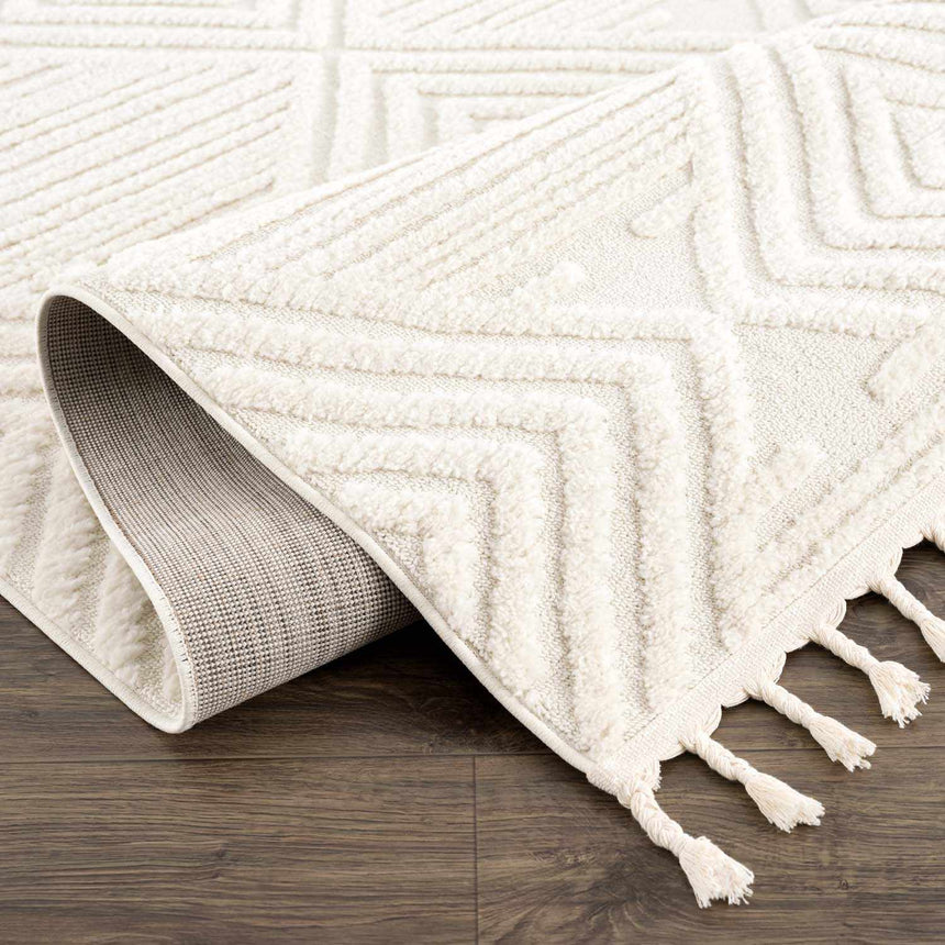 Manyas 3D Bone Area Rug with Tassels