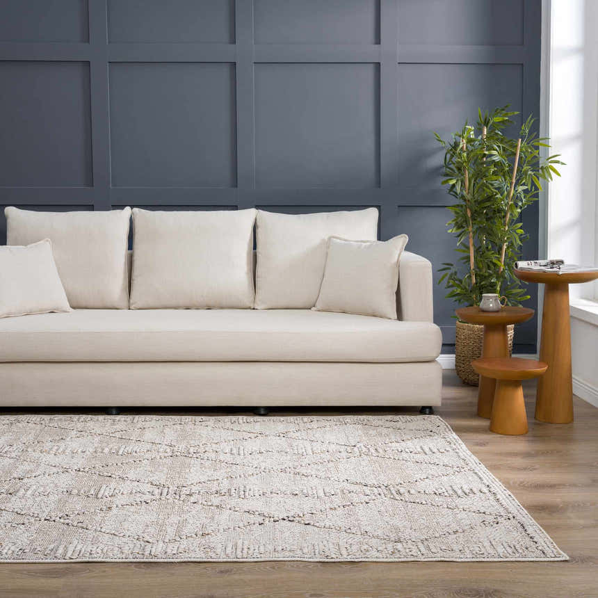 Living room scene with a bone sofa and the Nyla Bone Indoor Outdoor Rug, a contemporary design. Roomscene-Rectangle