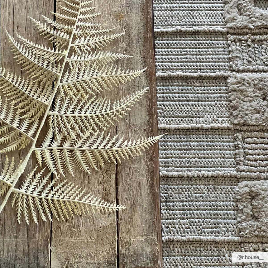Close-up of the Sulak Cream Area Rug showing its textured weave and neutral colors, styled with a fern on rustic wood. Styleshot