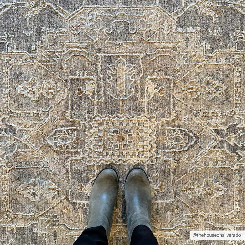 Close-up of the Ulubey Distressed Gray Thick Luxe Area Rug featuring beige and gray tones and an intricate traditional pattern. Roomscene-Rectangle