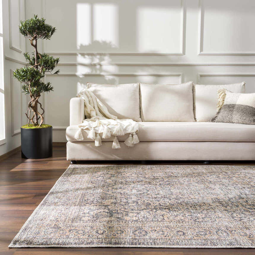 Living room scene with a neutral sofa and the Orsin Washable Area Rug in beige and gray on a dark wood floor. Roomscene-Rectangle
