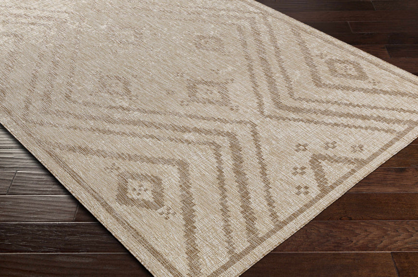 Agsungot Indoor & Outdoor Rug - Clearance