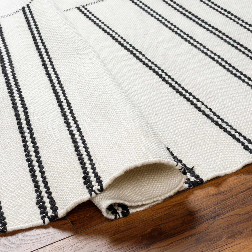 Akash Area Rug - Clearance