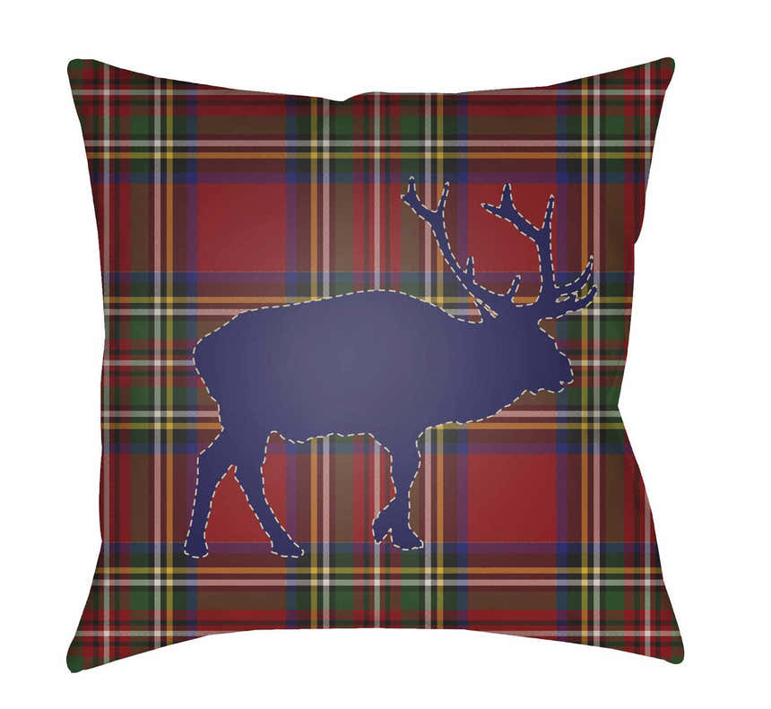 Alannay Outdoor Throw Pillow