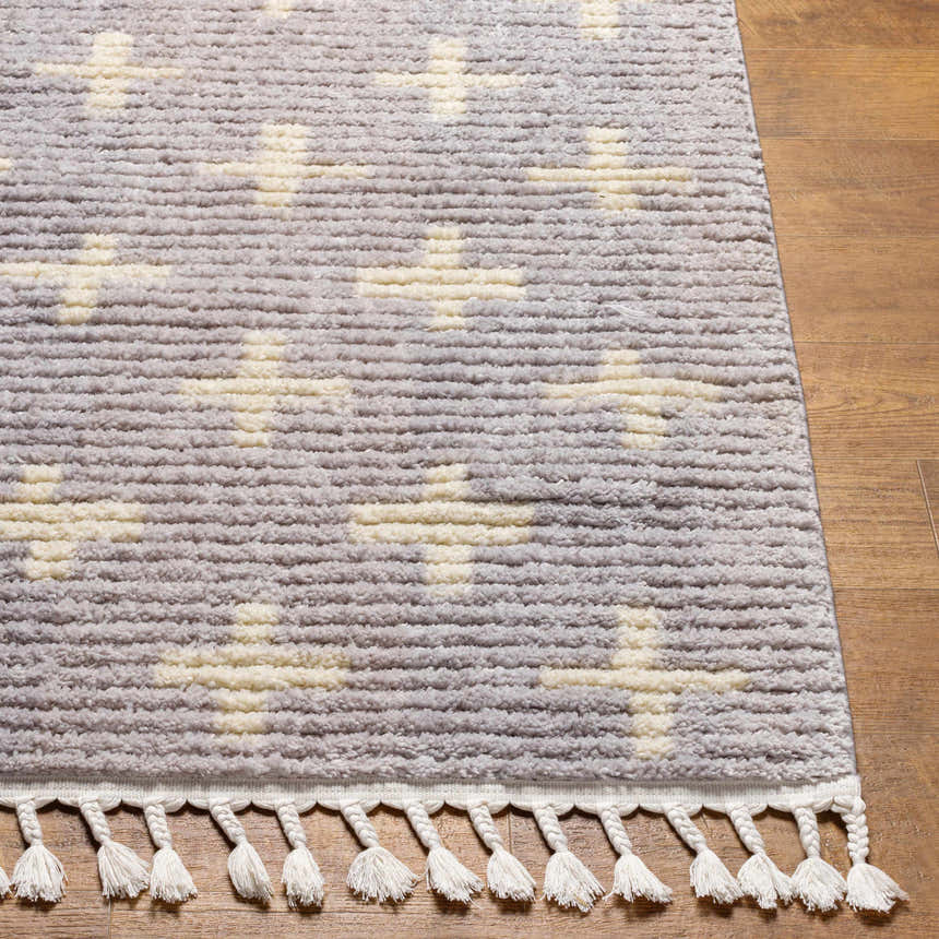 Close-up of the Anda Area Rug showing its ivory and medium gray textured design and tassel fringe. Front