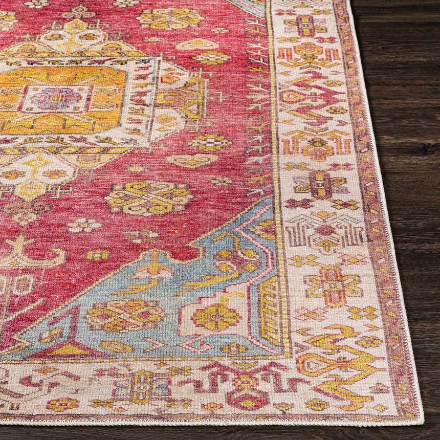 Close-up of the Anopog Washable Area Rug. Farmhouse style rug with red, yellow, and blue traditional patterns. Front