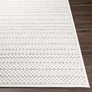 Close-up of the Babbie Area Rug showing a textured, geometric pattern in shades of white and gray on a dark wood floor. Front