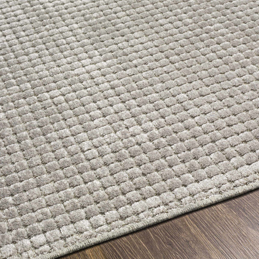 Close-up of the textured, light gray Bantiqui Area Rug on a dark wood floor. Machine woven rectangle rug. Texture