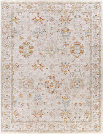 Close-up of the Beausejour Oushak Thick Luxe Area Rug. Beige rug with brick red, denim, and olive floral Persian-style pattern. Design-Rectangle-710103