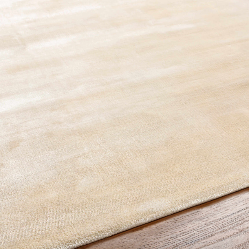 Beeson Area Rug - Clearance