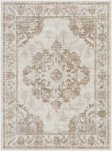 Close-up of the Benkelman Area Rug featuring a traditional oriental pattern in gray, ivory, light slate, and tan. Design-Rectangle-537