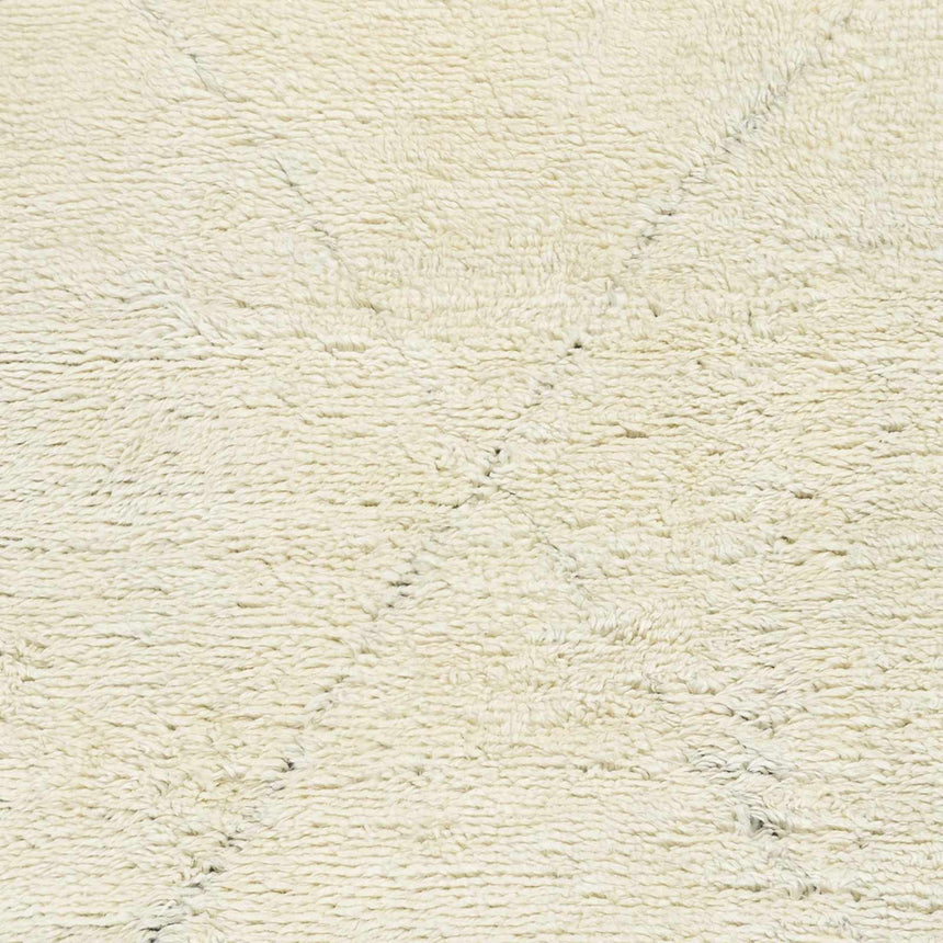 Birdwell Area Rug - Clearance