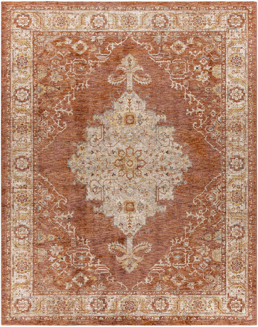 Detailed view of the Bluewell Area Rug, featuring a traditional oriental pattern in brick red, beige, and charcoal. Design-Rectangle-710103